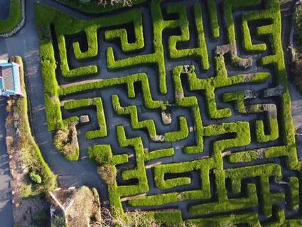 Maze at Blackgang Chine