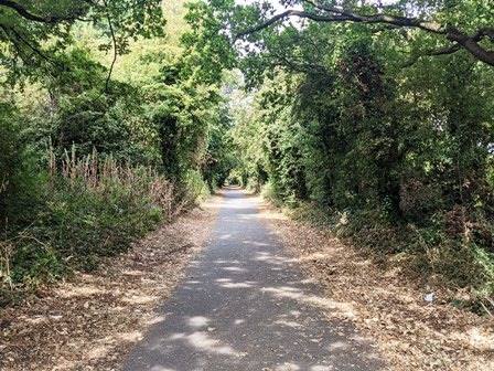 Cowes to Newport cycle track in summer