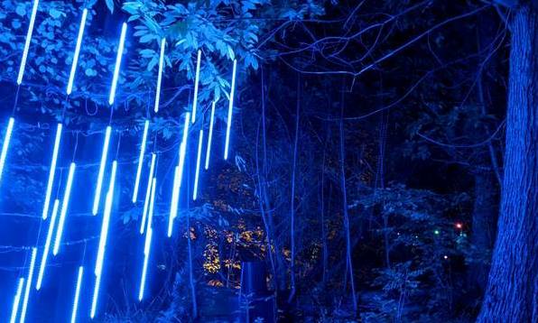 Woodland lights at Robin Hill Festival of the Dead 2022