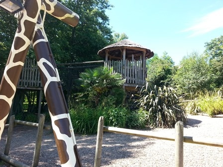 Robin Hill playground