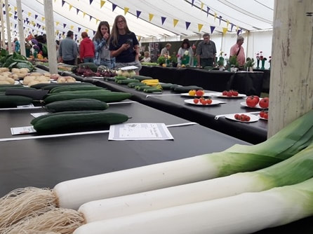 Leeks on a table at Chale Show