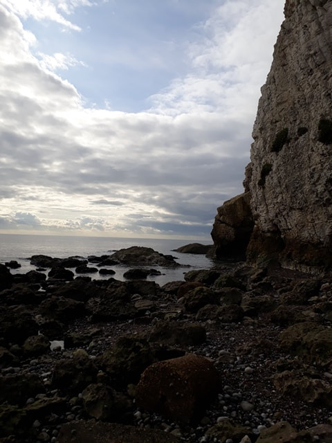 Freshwater Bay cliffs