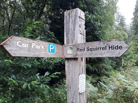 Red squirrel hide sign at Parkhurst Forest