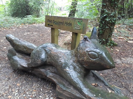Red squirrel statue in parkhurst forest