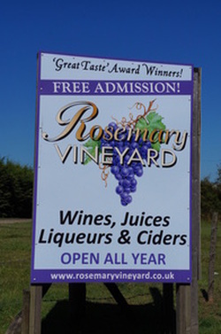 Rosemary Vineyard