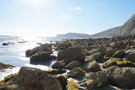 Rocks at Compton Bay in the sunshine
