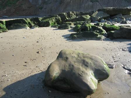 Dinosaur Footprint on the Isle of Wight