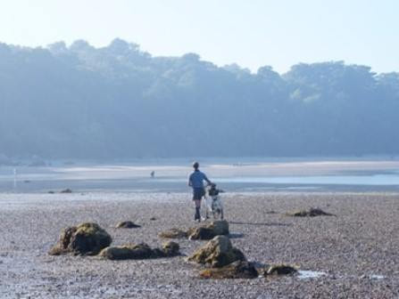 Cyclist near Priory Bay on the Isle of Wight