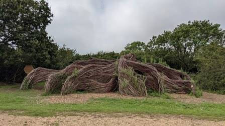 Golden hill park willow maze sculpture