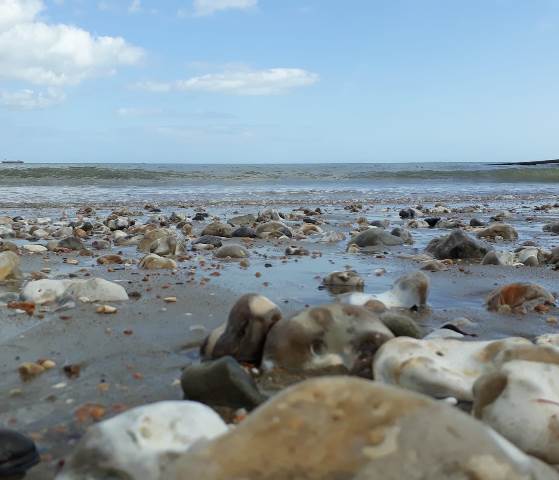 Stones on Shanklin beach