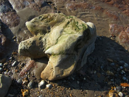 A rock shaped like a dinosaur footprint