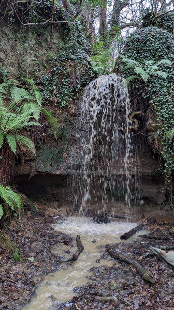 Bierley Waterfall in winter