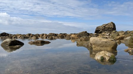 Reflections at Watershoot Bay