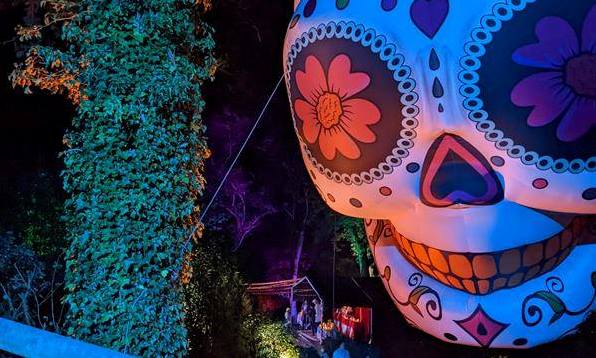 Robin Hill Festival of the Dead 2022 skull
