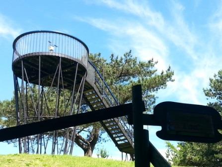 Robin Hill observation tower