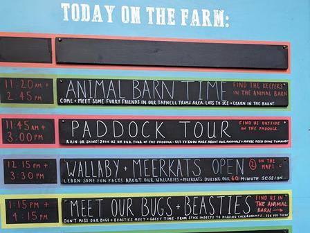 Tapnell Farm daily schedule