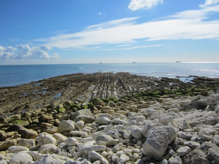 Whitecliff Bay rocks